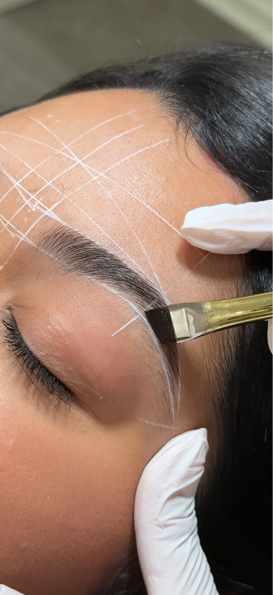 1 Day Brow Hybrid Tint Master Class